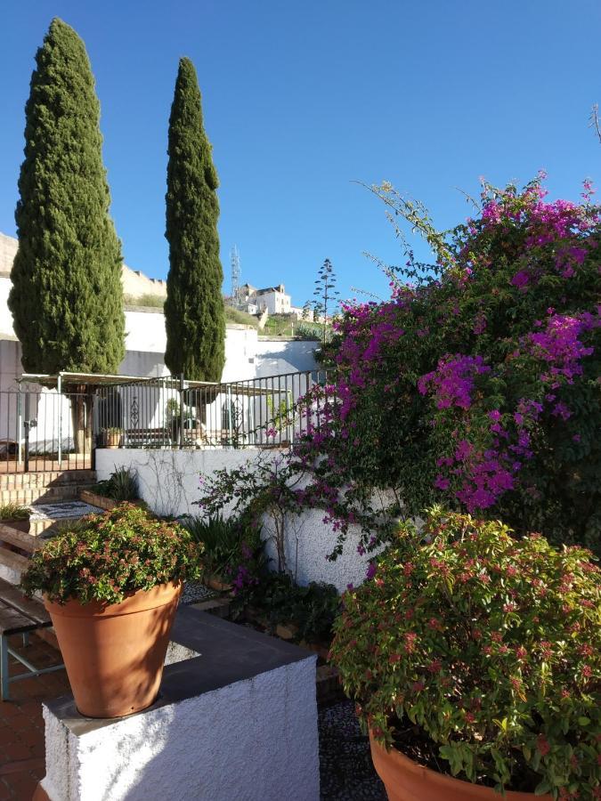 Cielo Del Albayzin Apartment Granada Bagian luar foto